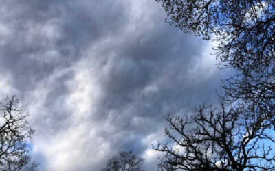 The Bishop’s Blog: Daily prayer 3-23-22
