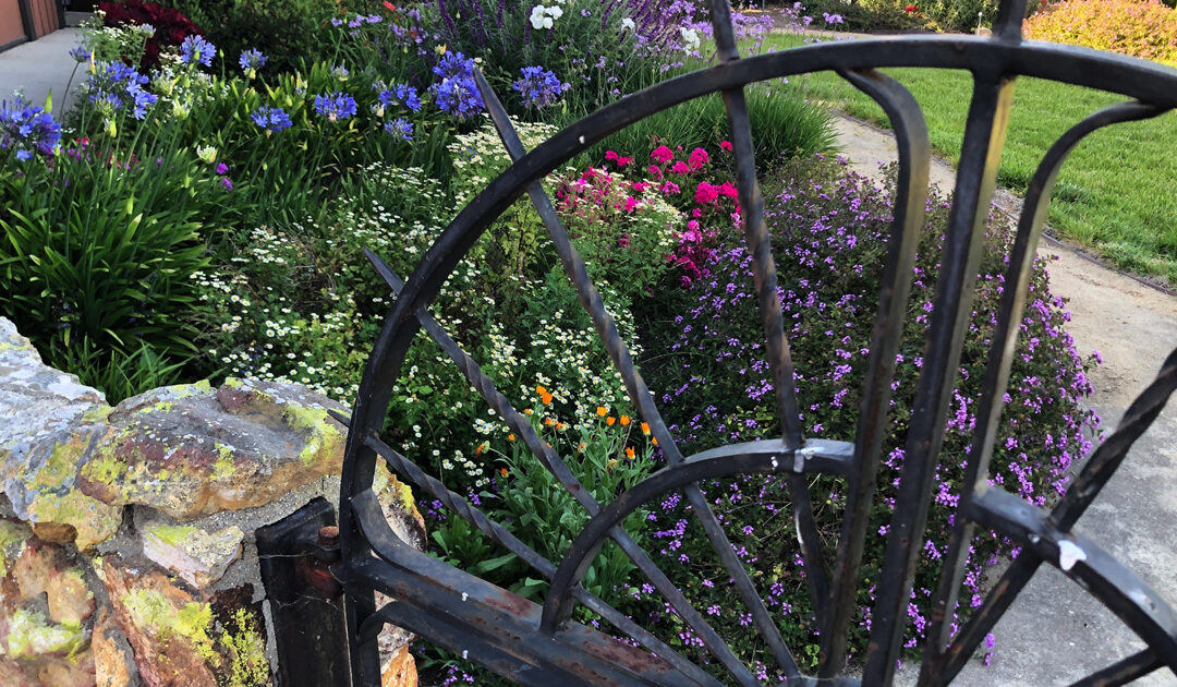 The Bishop’s Blog: Daily prayer 5-16-22