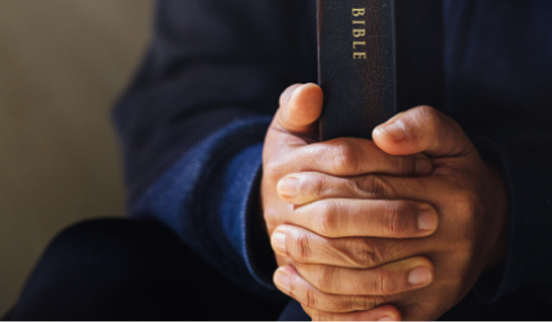 New webpages offer resources for those exploring lay and ordained ministry