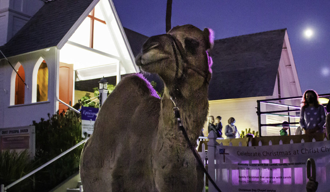 Looking toward Christmas, congregations celebrate with Posadas, living nativities, book study and more