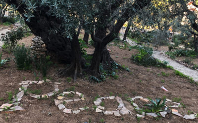 Daily prayer: Maundy Thursday