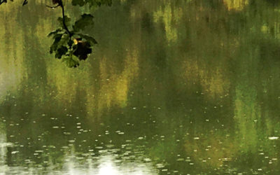 Daily prayer: Seventh Sunday after Pentecost