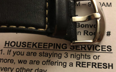 Whales, dolphins and hotel employees