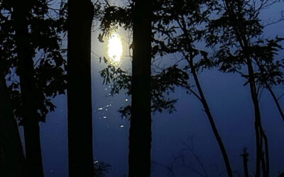 Daily prayer: Morning prayer