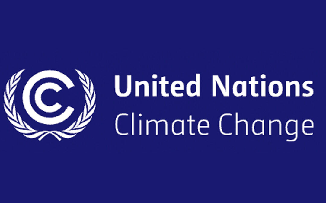 Laguna Beach priest Lester Mackenzie is among Episcopal Church delegates to UN climate change conference