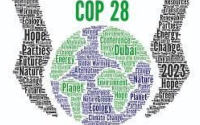 Lester Mackenzie, Episcopal Church rep to COP28, reports that church’s influence is growing – but so is climate menace