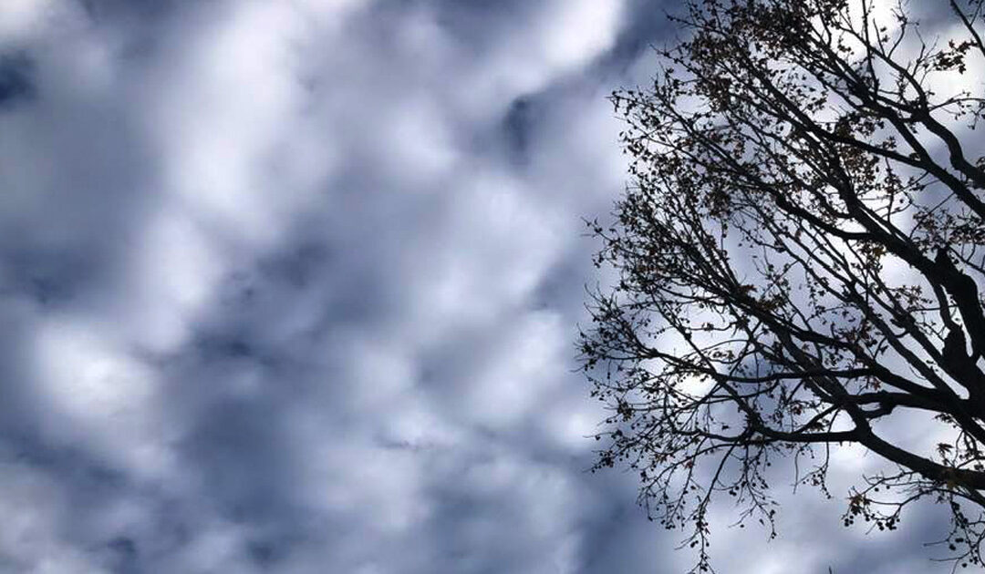 Daily prayer: Light of the world