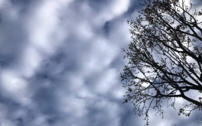 Daily prayer: Light of the world