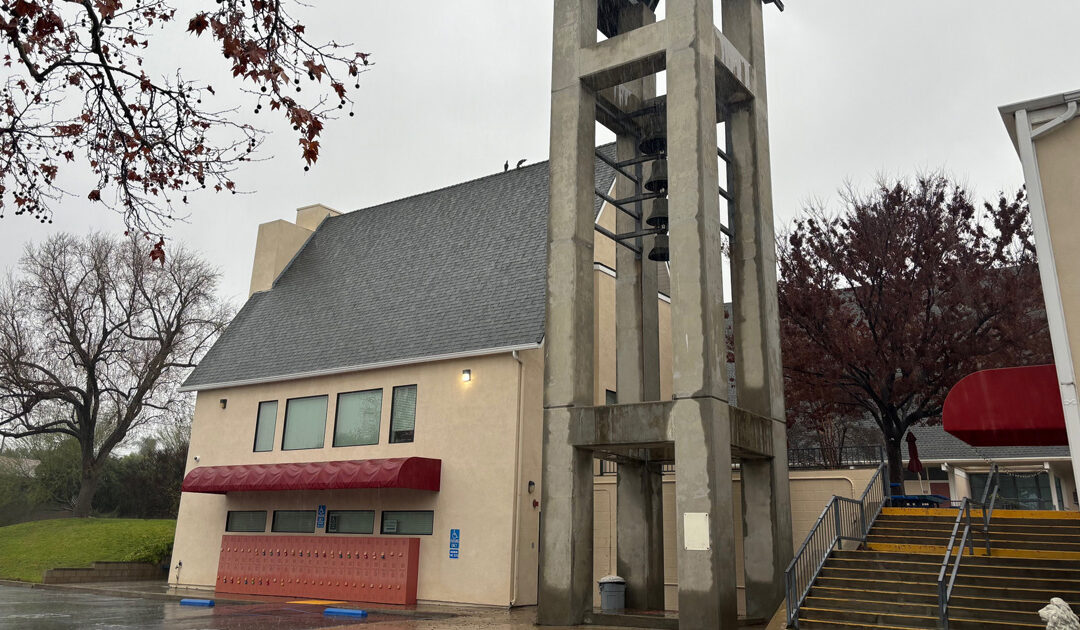 Daily prayer: For the diocese