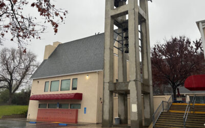 Daily prayer: For the diocese