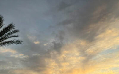Daily prayer: Tuesday in the second week in Lent