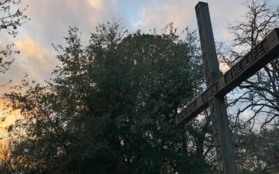 Daily Prayer: Third Sunday in Lent