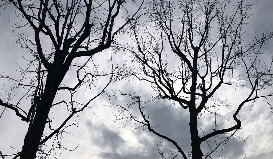 Daily prayer: Fifth week in Lent
