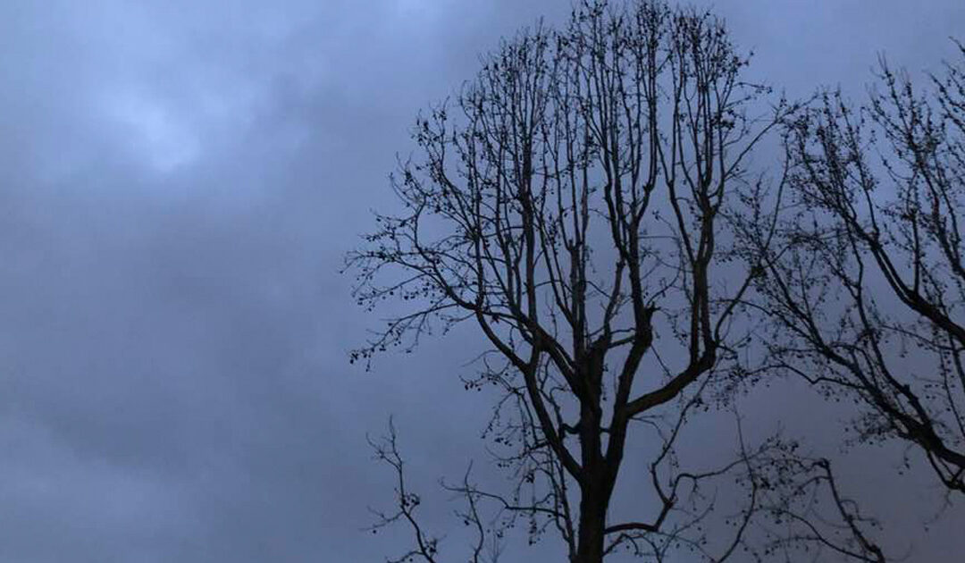 Daily prayer: Wednesday in the fourth week of Lent