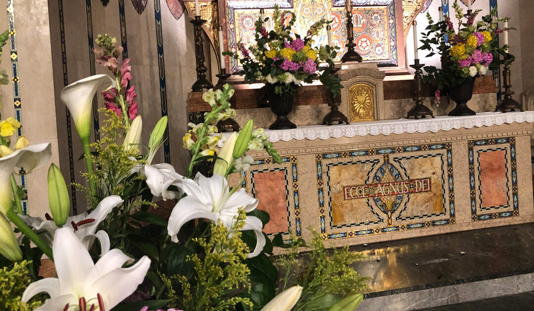 Daily prayer: Evening