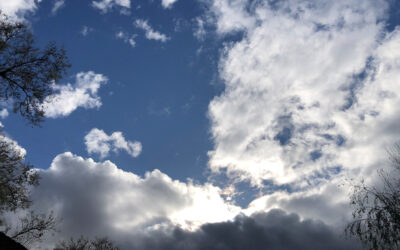 Daily prayer: Easter Tuesday