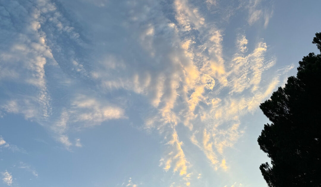Daily prayer: For peace