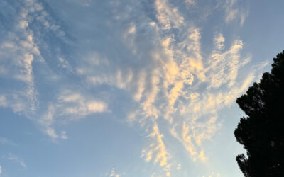 Daily prayer: For peace