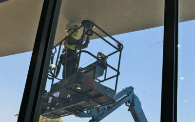 Daily prayer: For laborers