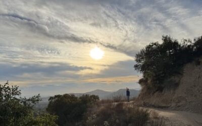 Daily prayer: For companionship in the Lord