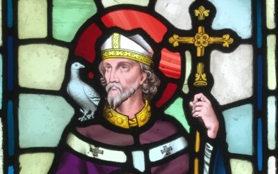 Daily prayer: St. David