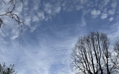 Daily prayer: Strengthen us