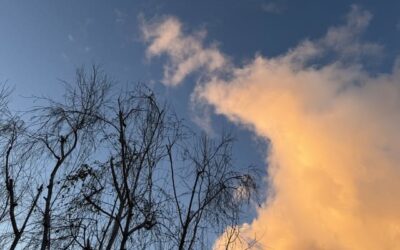 Daily prayer: To abhor sin