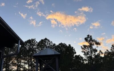 Daily prayer: For the grace to forgive