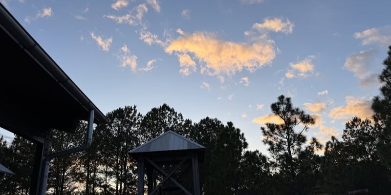 Daily prayer: For the grace to forgive