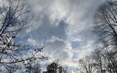 Daily prayer: Hear our prayers