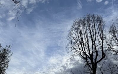 Daily prayer: For mercy and help