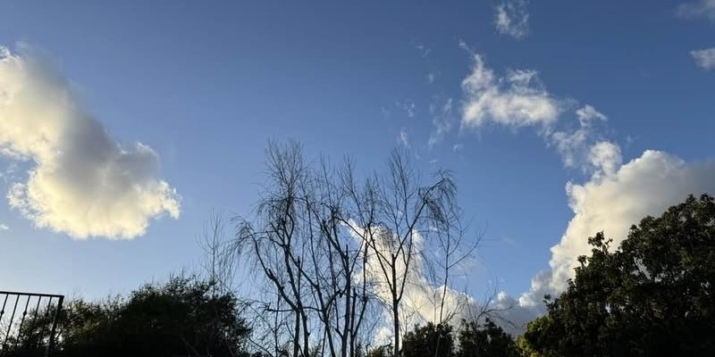 Daily prayer: To offer fellowship in suffering
