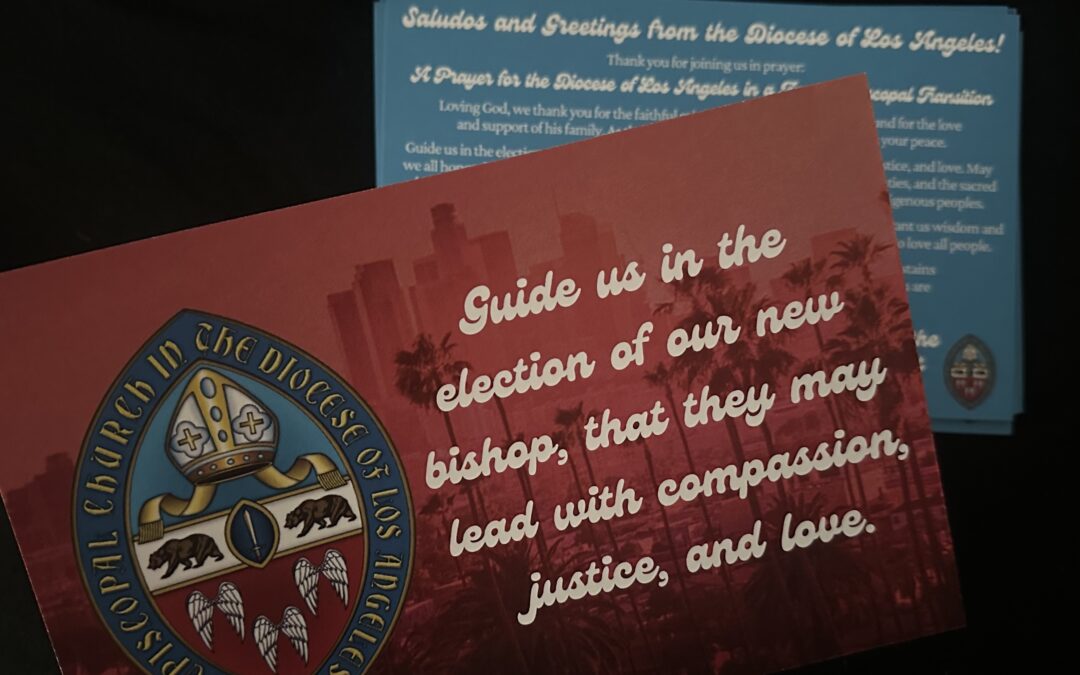 Bishop Search Committee invites laity, ministry groups to virtual listening sessions