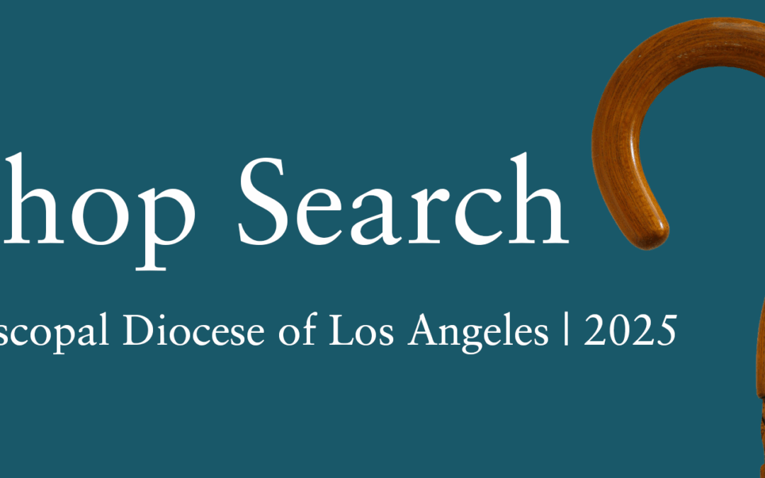As bishop search continues, Standing Committee reviews petition candidates