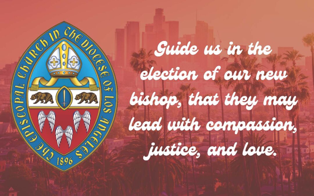 Meet the Team Behind the Bishop Search Screening and Discernment Subcommittee