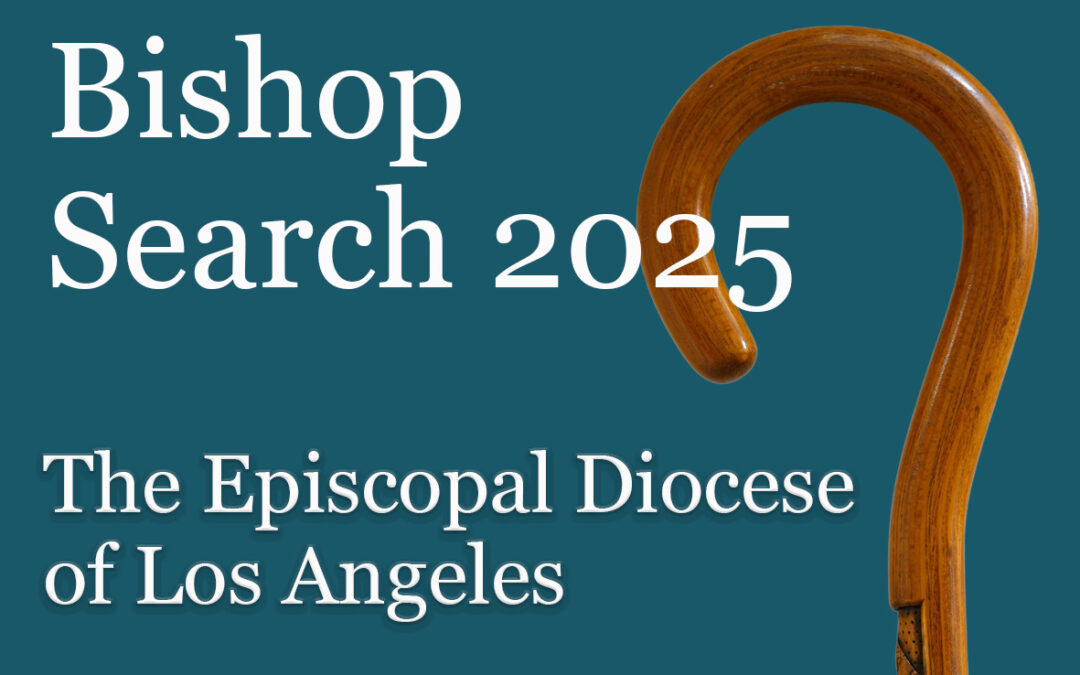 Bishop candidates reply to Transitions Committee questions in advance of Oct. 21-24 meet-and-greet gatherings